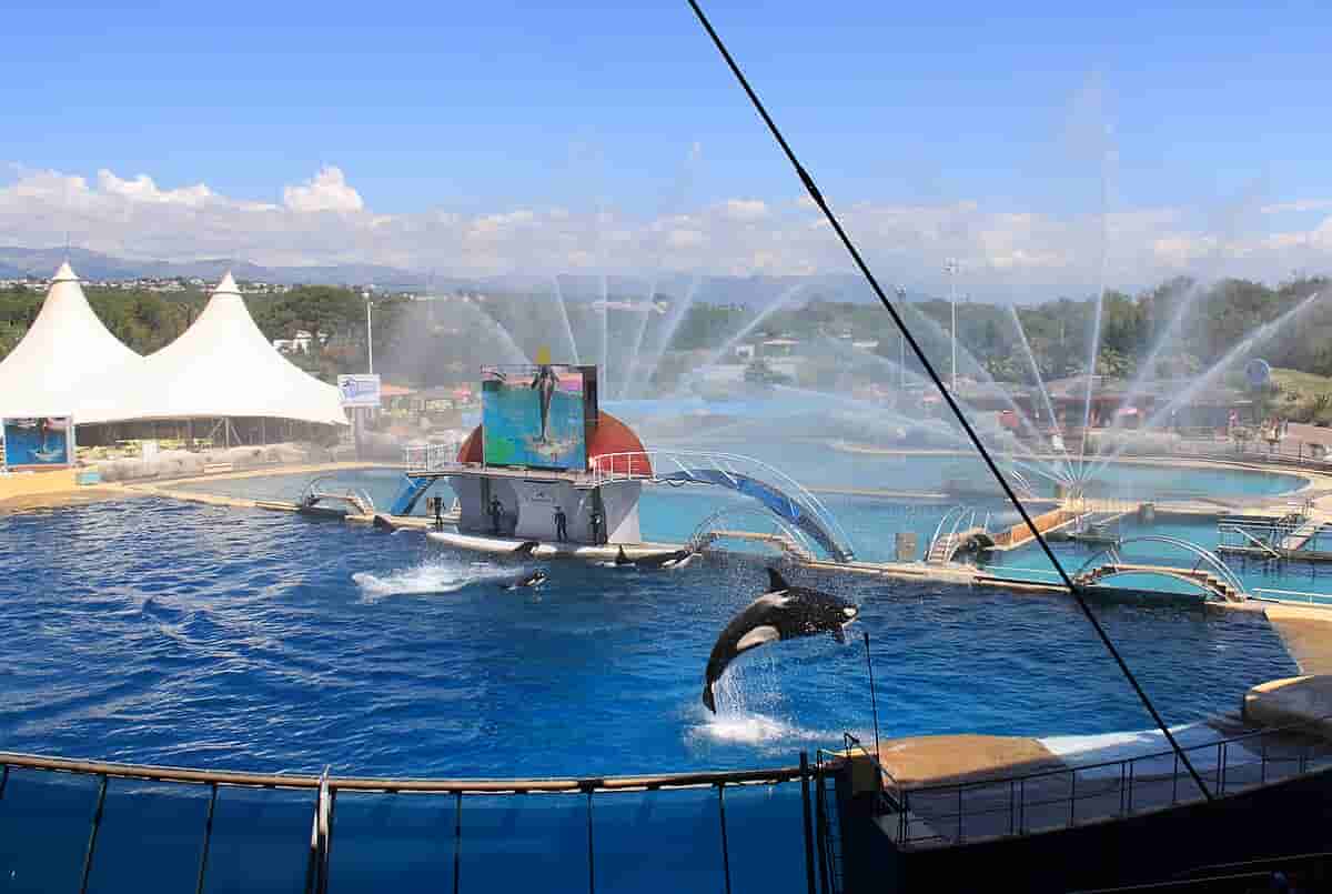 Marineland Antibes