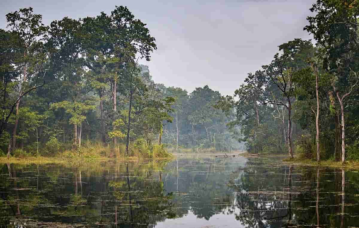 Chitwan National Park