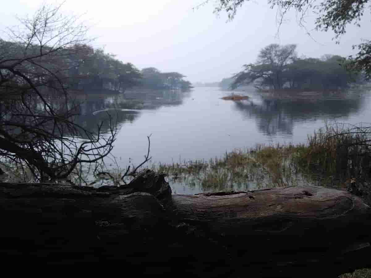 Sultanpur National Park