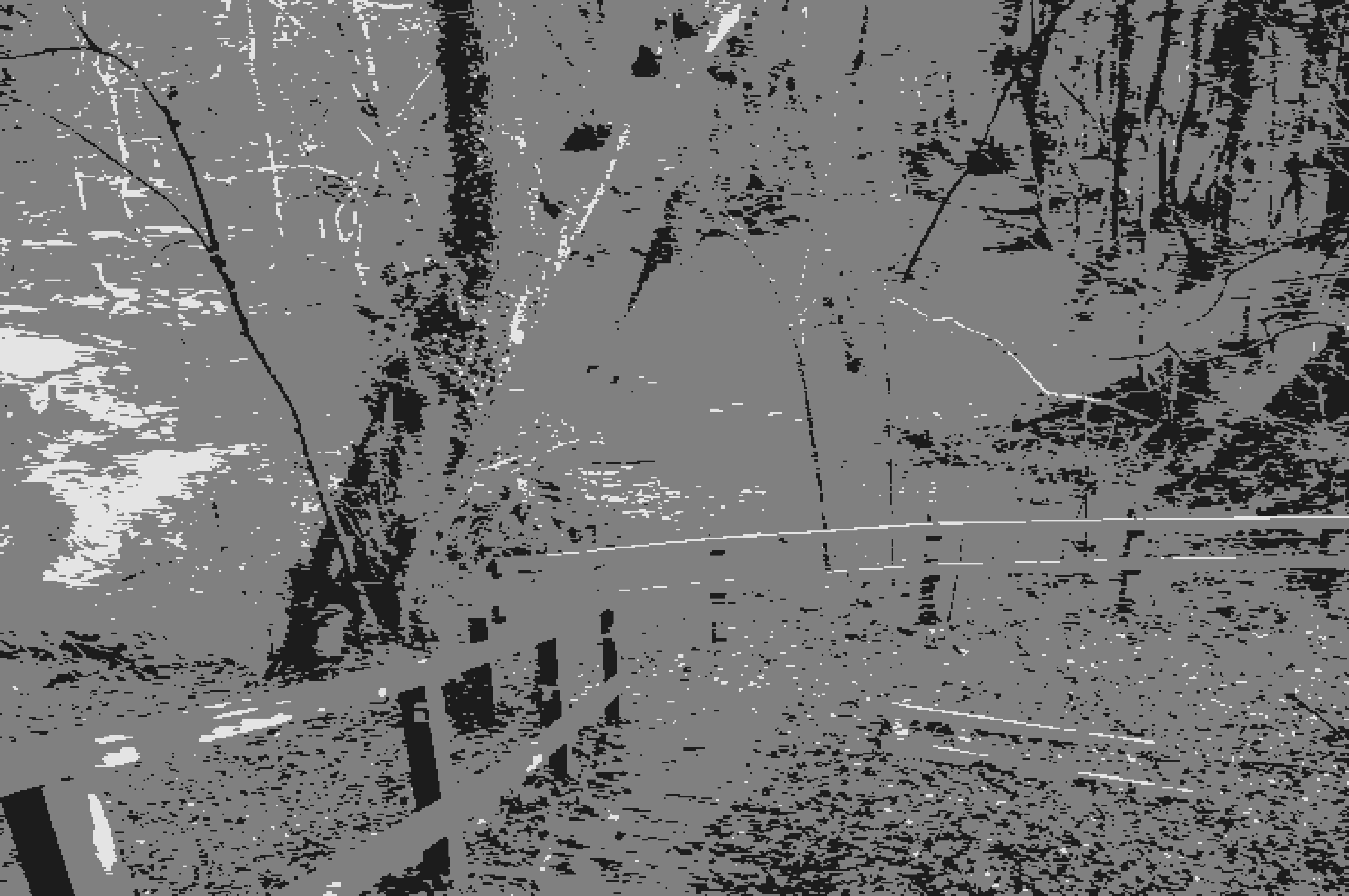 Local Community Village