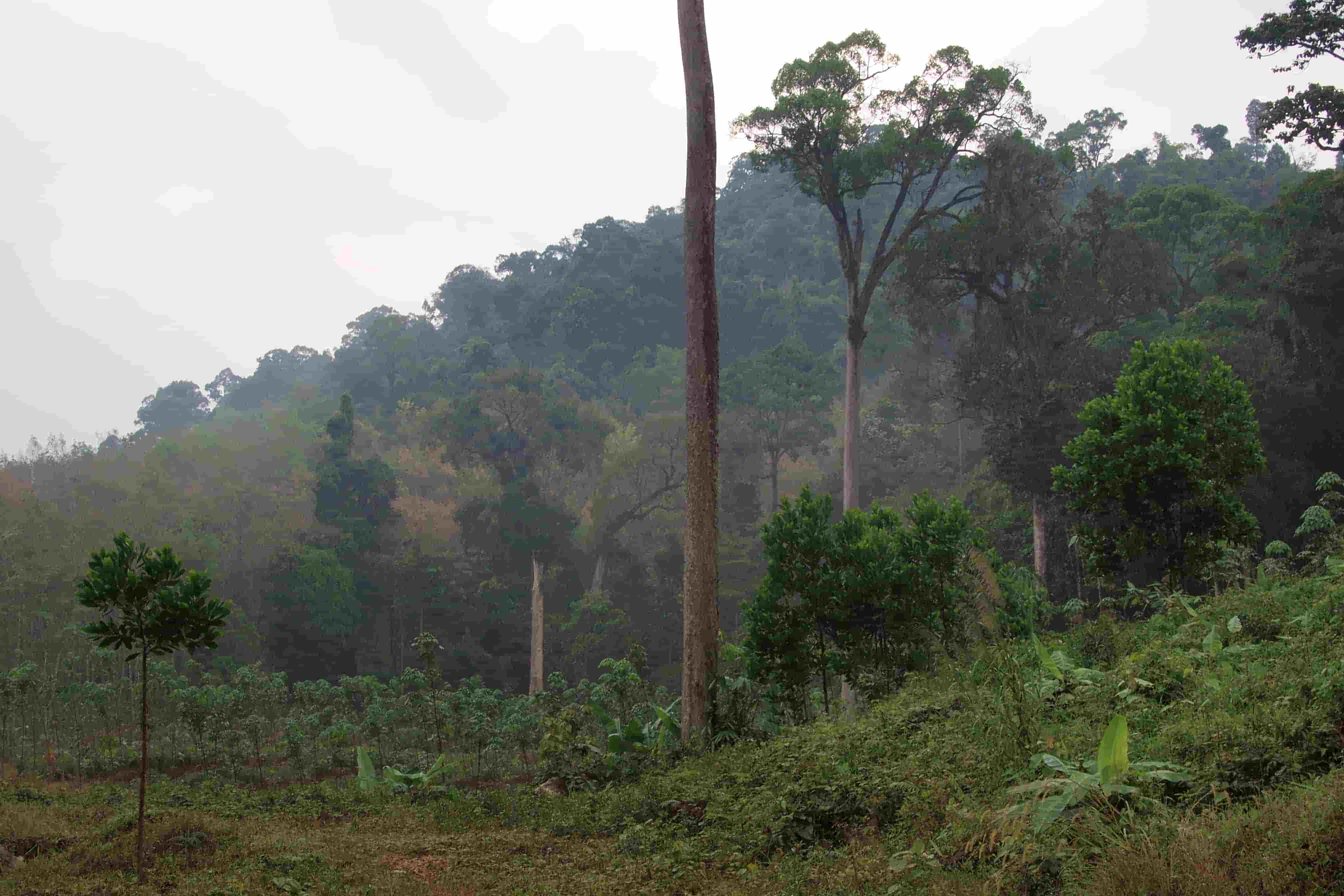 Khao Lak National Park